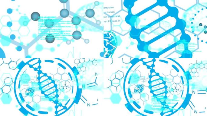 dna链纺丝上的科学数据处理动画