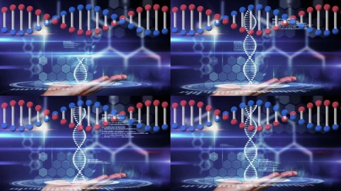 dna链纺丝和医疗数据处理的动画