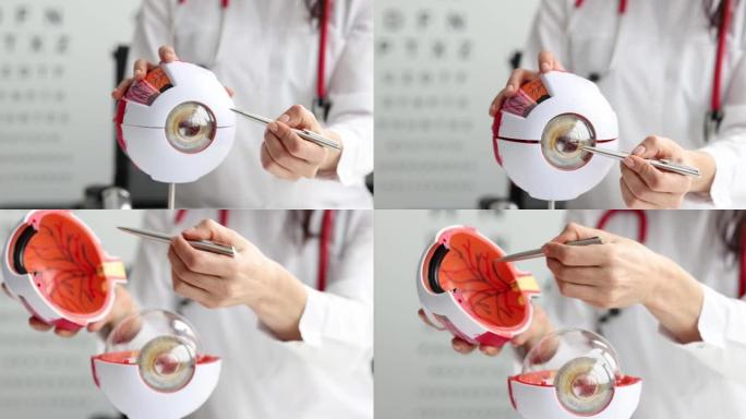 眼科医生在视力检查背景上显示眼睛结构表4k电影