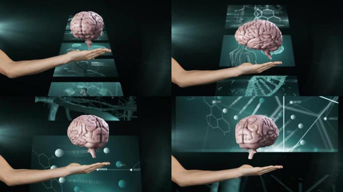 用科学数据处理在屏幕上旋转的人脑动画