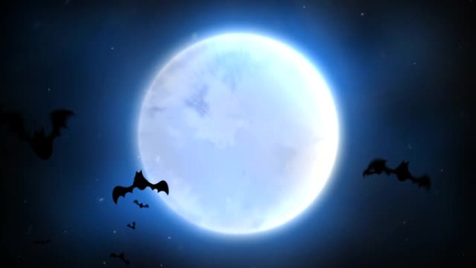 飞行夜蝙蝠和天空中有星星的大月亮