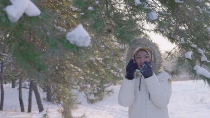 冬天可爱的女孩羽绒服从松树枝上压雪，欢欣鼓舞。在阳光明媚的日子里，快乐的女人在白雪皑皑的松树林中采摘