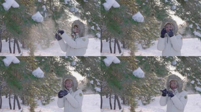 冬天可爱的女孩羽绒服从松树枝上压雪，欢欣鼓舞。在阳光明媚的日子里，快乐的女人在白雪皑皑的松树林中采摘