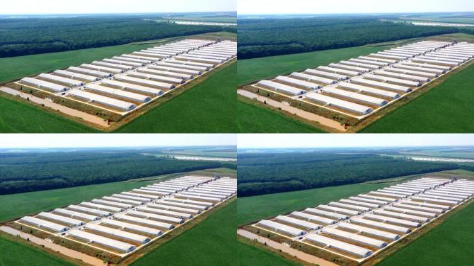 从无人机上可以看到绿色田野中的大农场。农业的概念。鸟瞰图
