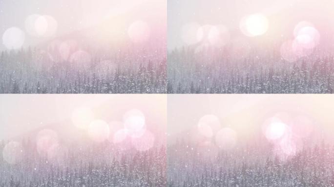 冬季风景中杉树上的雪花和发光点的动画