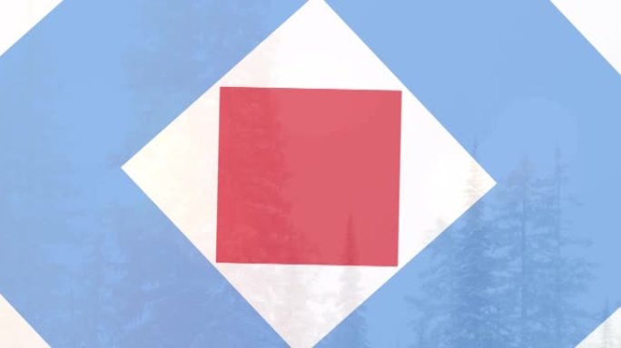 动画形状在红，白和蓝的美国国旗在冬季森林在雪