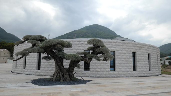 当代建筑与美学艺术园林设计松树