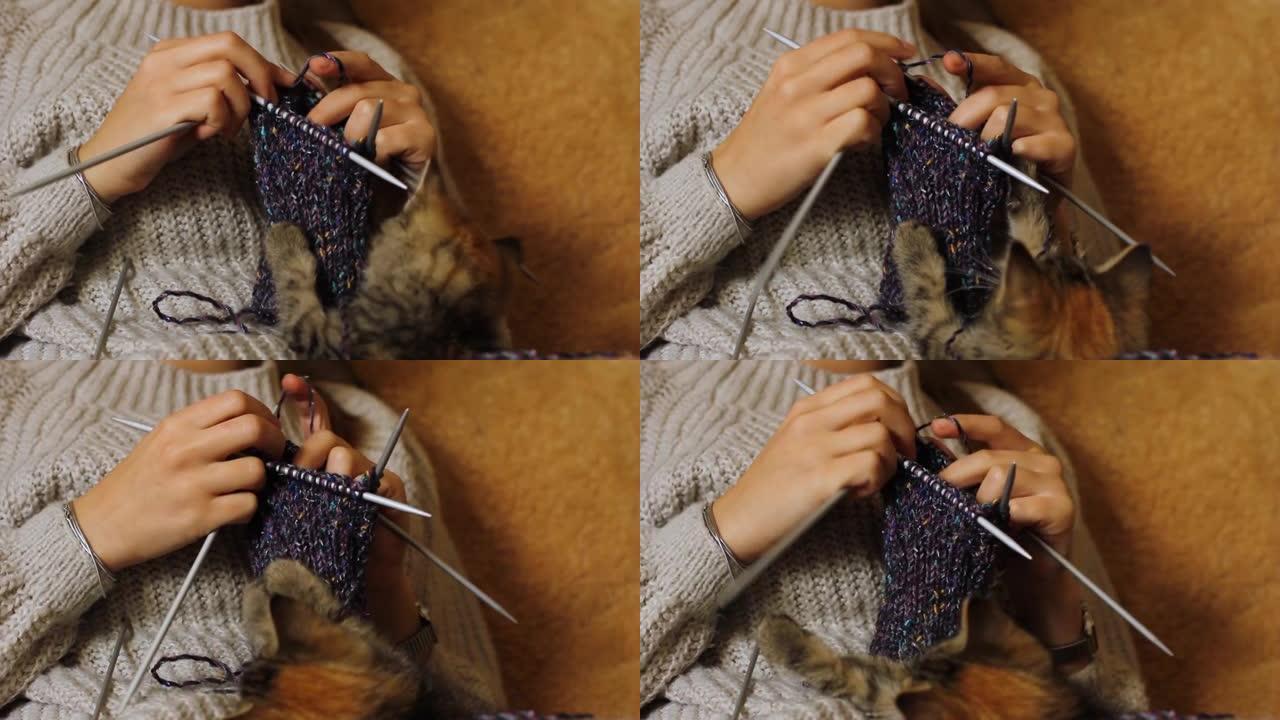 编织和猫。小猫玩编织。女孩在猫旁边编织。居家舒适。家庭主妇就业