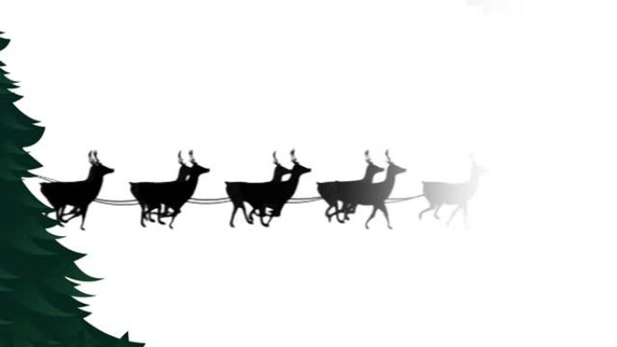 圣诞老人在雪橇上的动画，驯鹿在白色背景上的枞树上
