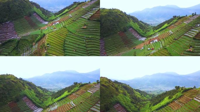 迪昂高原美丽的梯田