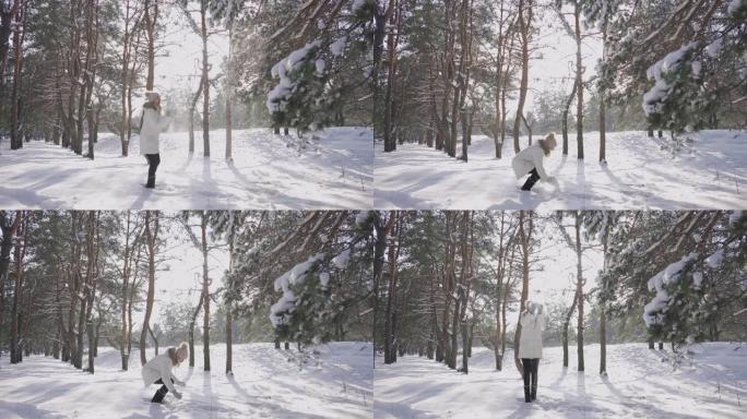 年轻的女孩收集雪在她的手中，并把它扔了。白色蓬松的雪在阳光中闪闪发光。晴天，女人在白雪皑皑的松树林中
