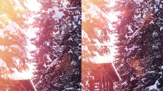 冬季风景中杉树上的雪花和发光点的动画