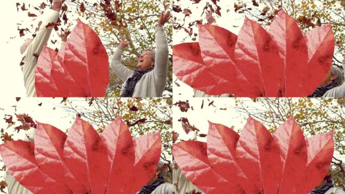 秋叶的动画落在快乐的高级高加索夫妇在公园扔树叶上