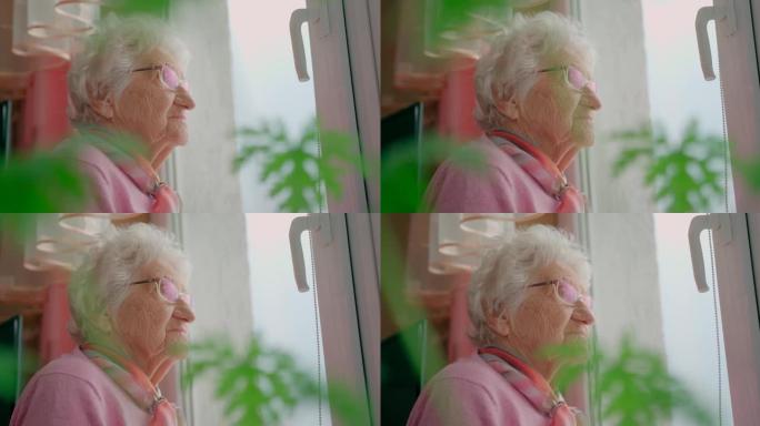 有深深的皱纹的老女人。白发的祖母看着窗外