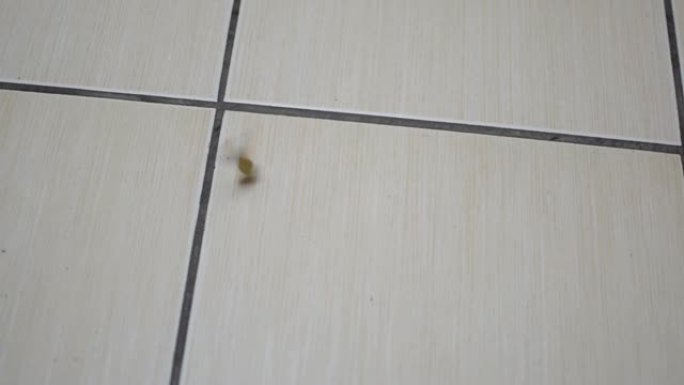 弹壳掉落在白色瓷砖上关闭，从武器发射后在地板上滑动。