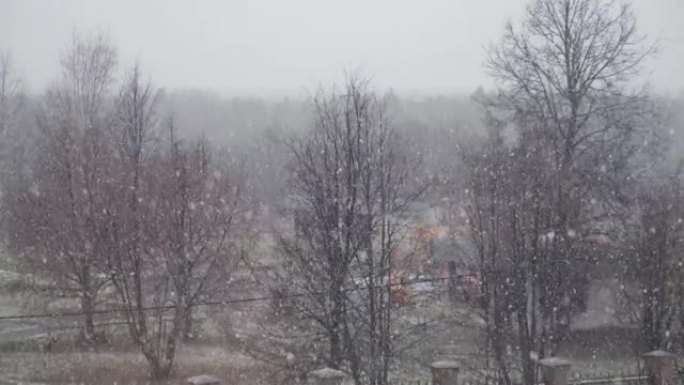 雪花落在光秃秃的树梢上，窗外景色宜人。缓慢的运动。