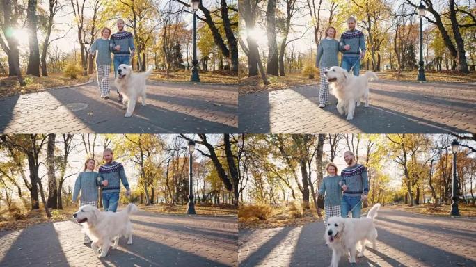 快乐的年轻爱心男女在秋季城市公园与拉布拉多狗同行，享受户外阳光明媚的周末