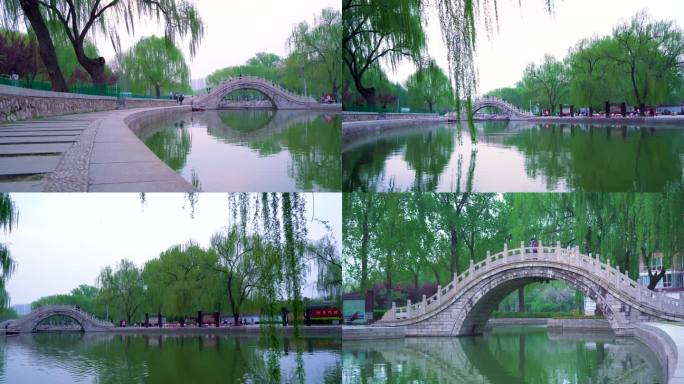 春游 河边 垂柳 石桥