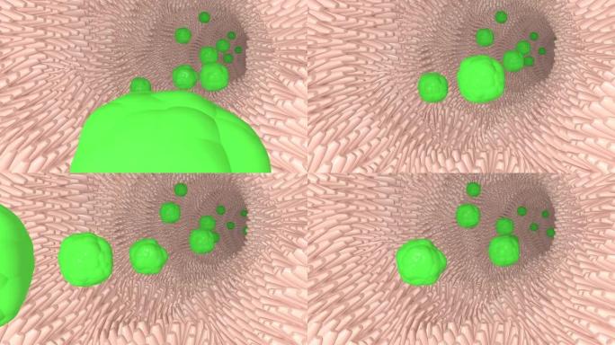 肠道中的绒毛益生菌绿色细菌人类保健肠道菌群人类微生物组4k