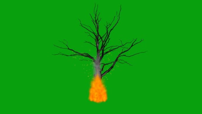 燃烧枯树绿屏运动图形