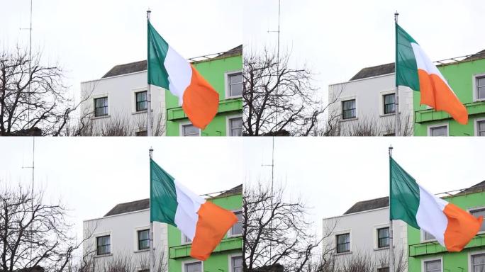都柏林圣帕特里克节游行的爱尔兰国旗