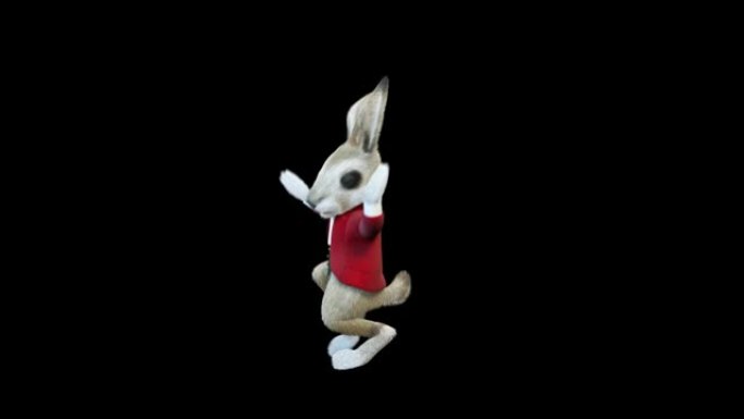 兔子正在跳简单的舞蹈