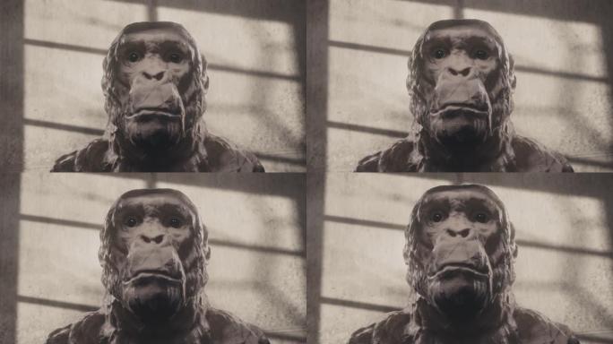 猿或原始人头部雕塑。高质量的3D动画。