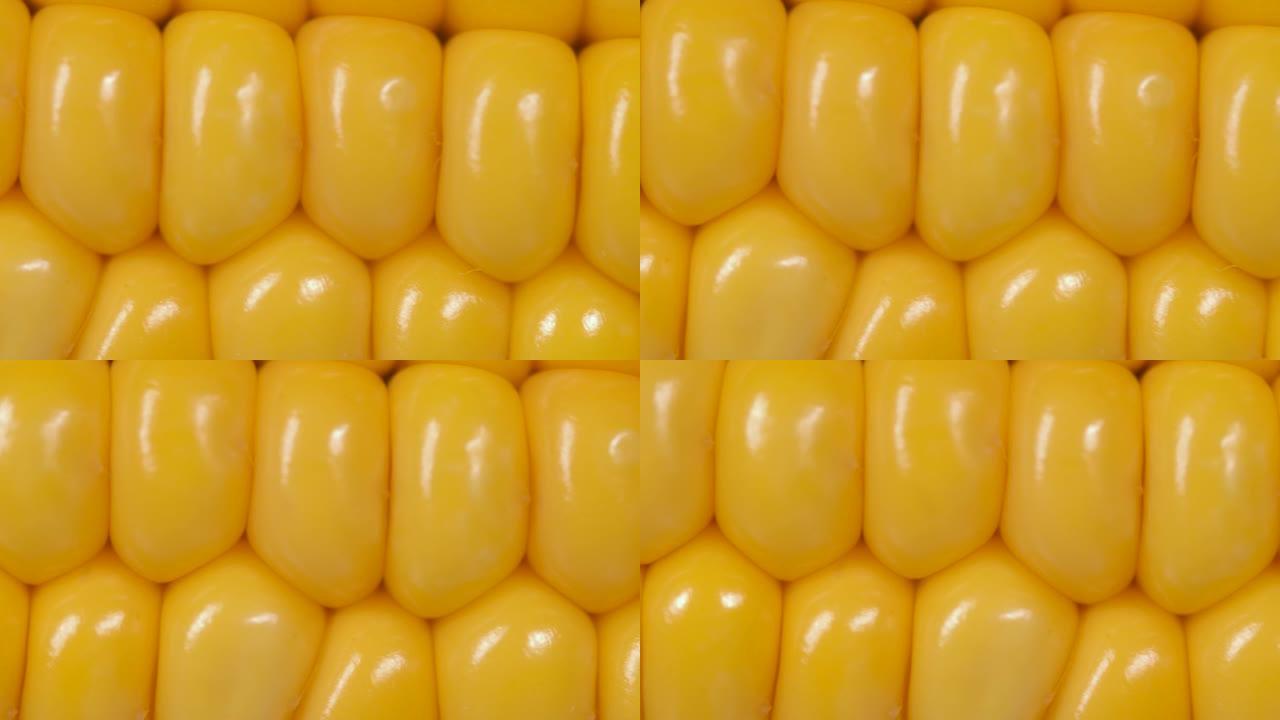 玉米种子质地，农业健康自然营养。宏观视图黄色谷物玉米芯背景食品有机特写。将新鲜的甜玉米放在玉米棒上，