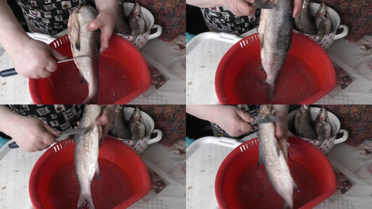 厨师用刀清洗鱼