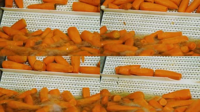 胡萝卜清洗、干燥。罐头厂。蔬菜加工自动线