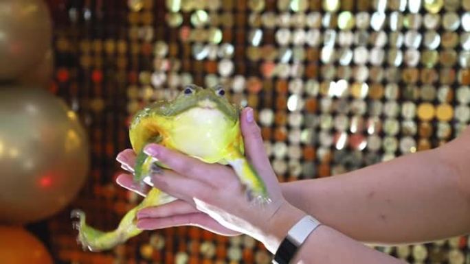 女人的双手握着一只大型牛蛙-水载体
