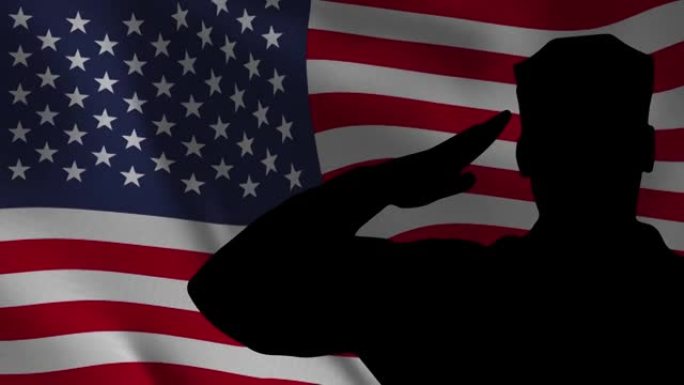 军人向国旗敬礼，美国退伍军人节剪影庆典