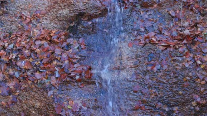 美丽的水流和落在岩石上的秋叶