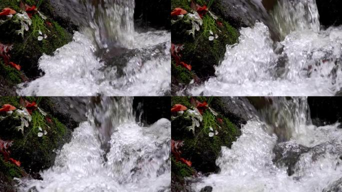 秋天的清山河山涧流水瀑布水帘洞清泉石上流