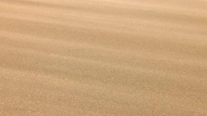 风中流沙沙尘暴沙漠沙滩