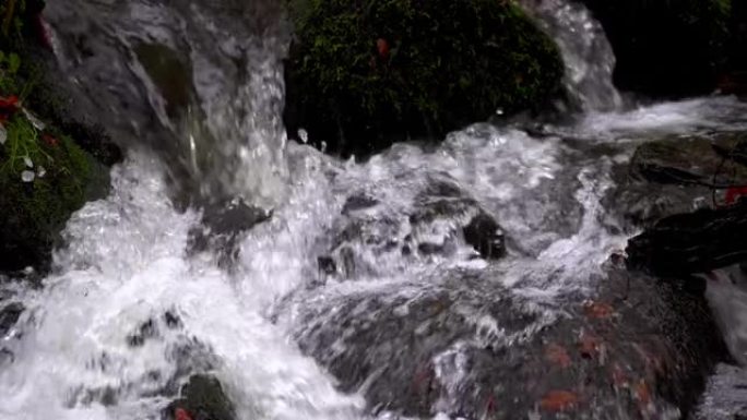 秋天的清山河特写、慢动作、田园诗般的、