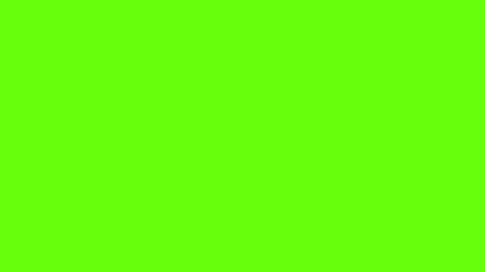 闪耀动画。闪烁的光芒。绿屏。4K