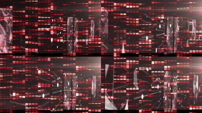 闪烁的红色矩形在连接网络上浮动的动画