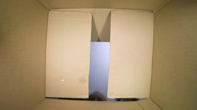 一个七岁的小女孩在盒子的缝隙中凝视着。从盒子里看。礼物期待和期待