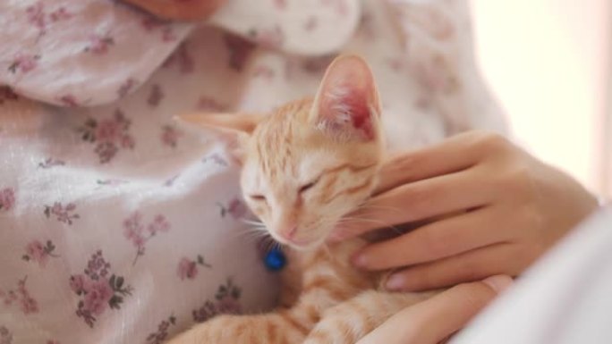 亚洲女人在新家拥抱和亲吻小猫。收养流浪猫的概念要有一个爱并能照顾他们的新主人。4k慢动作。
