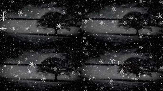 圣诞节雪花在夜间落在树木和景观上的动画