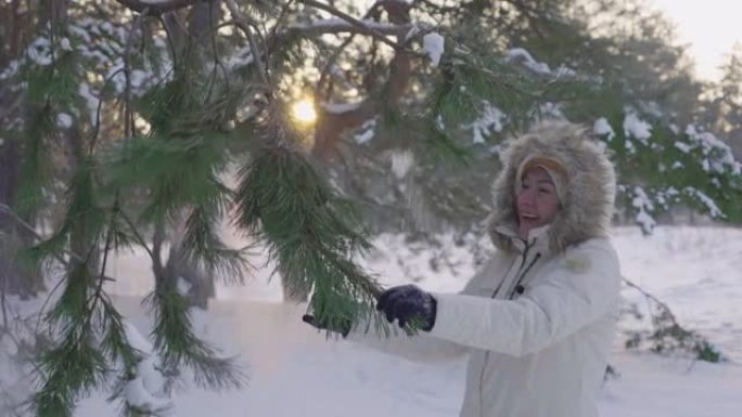 可爱的女孩在冬天的羽绒服压雪从松枝和欢欣鼓舞。快乐的女性在白雪皑皑的松树林中玩雪。美丽的冬季大自然被
