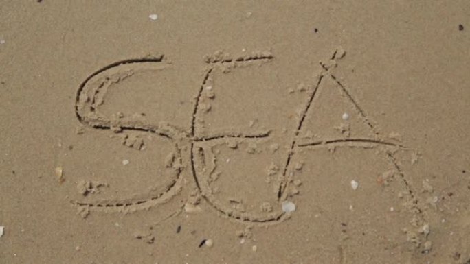 写在沙滩上的文字海。字母背景上的大海