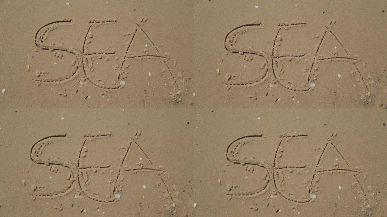 写在沙滩上的文字海。字母背景上的大海