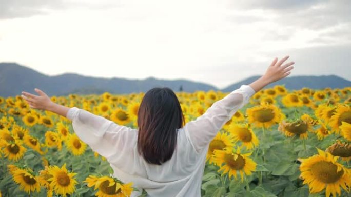 一个了不起的女人在黄色向日葵地里举起双手的背影。每天都是一个快乐的地方。向日葵田里的夕阳。自由的概念