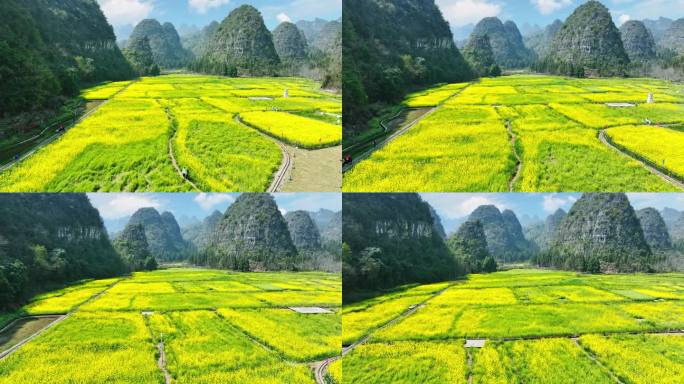 山间油菜花航拍
