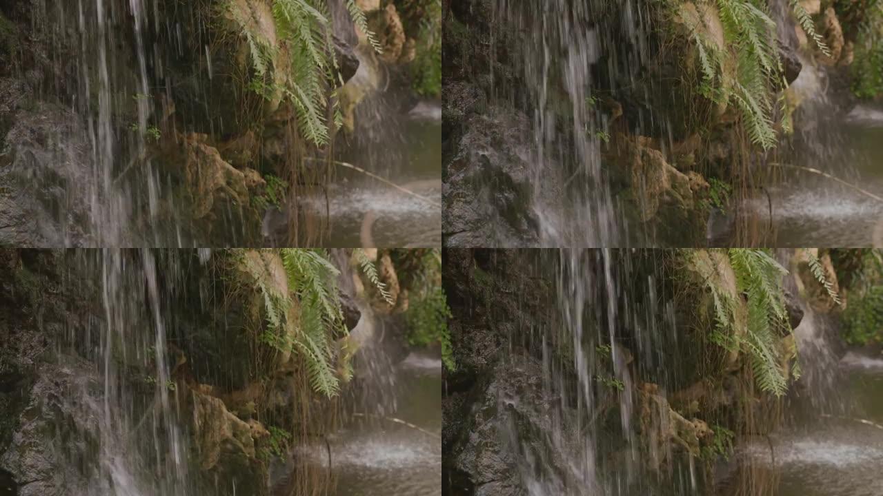 绿色植物之间流入清澈绿色池塘的小瀑布的特写视图