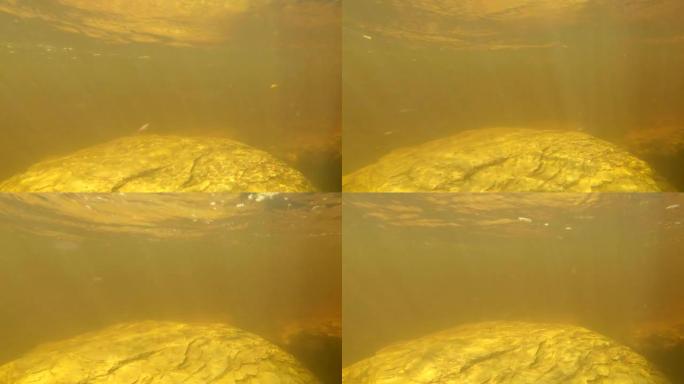 在金色的阳光下，mirky河流冲过水下景观