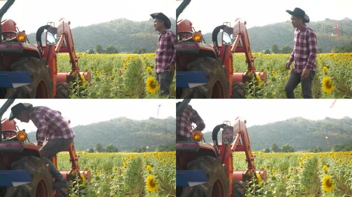 亚洲农民老板小企业在向日葵种植园检查向日葵树。农夫正在上拖拉机。