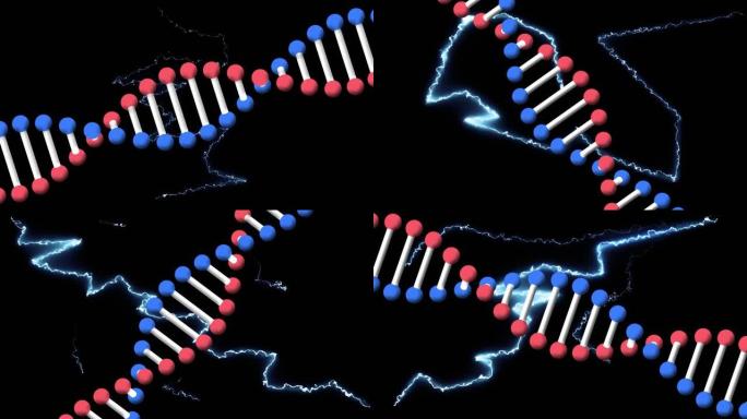 在黑色背景上旋转的dna链在发光的蓝色电流上的动画